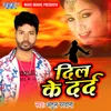 About Dil Ke Darad Song